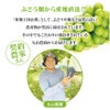 山梨県の丸山果樹園さんより直送でお届け