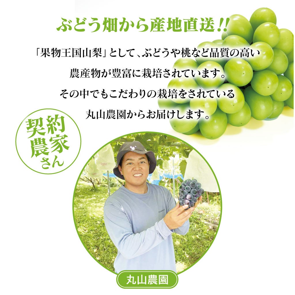 山梨県の丸山果樹園さんより直送でお届け