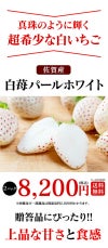 白いちご パールホワイト