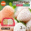 白いちご食べ比べセット