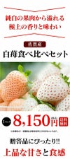 白いちご食べ比べセット