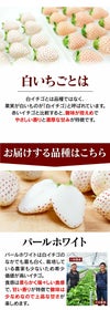 白いちご食べ比べセット