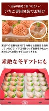 白いちご食べ比べセット