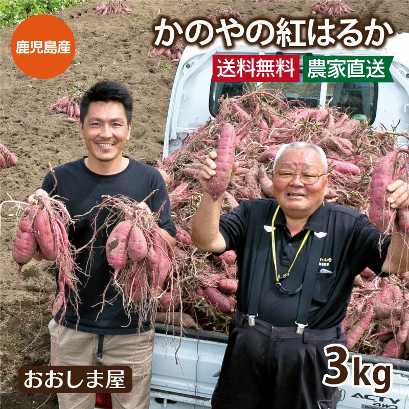 紅はるか 5kg 熊本 大津産 さつまいも 送料無料＜12月上旬より順次出荷