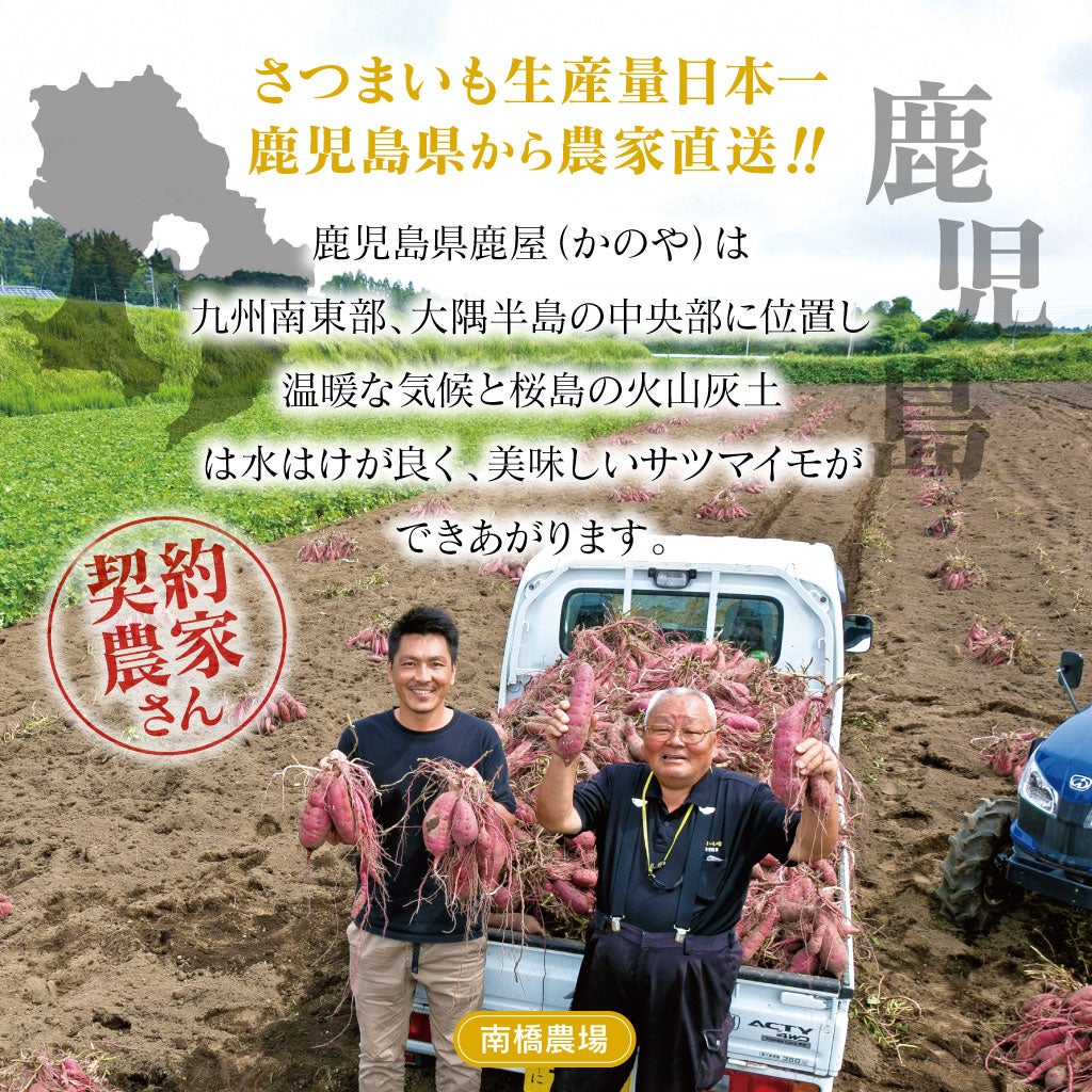 さつまいも生産量日本一鹿児島県から農家直送でお届け