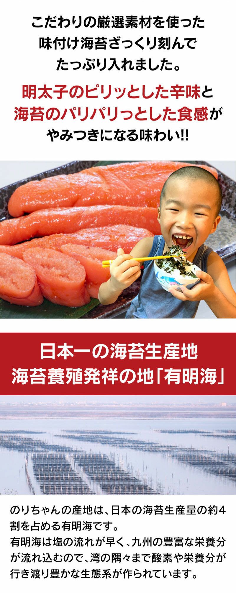 パリパリのりちゃん 辛子明太子味