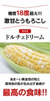 ドルチェドリーム とうもろこし スイートコーン 4kg