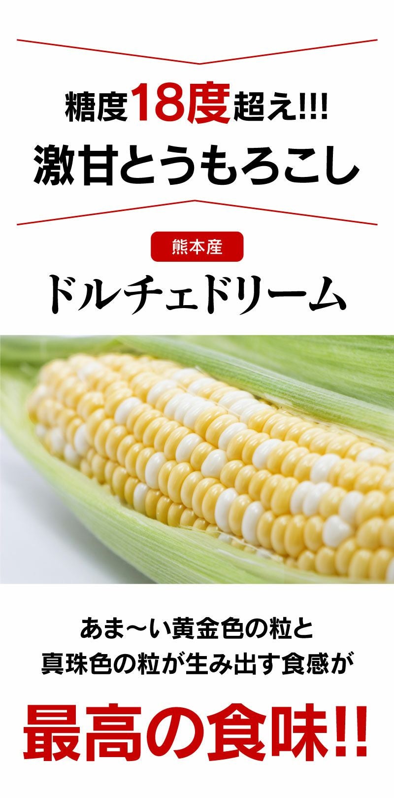 ドルチェドリーム とうもろこし スイートコーン 4kg