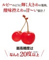 特選 紅秀峰 山形 さくらんぼ 2Lサイズ(35玉) 