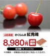 特選 紅秀峰 山形 さくらんぼ 2Lサイズ(35玉) 