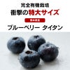 ブルーベリー タイタン