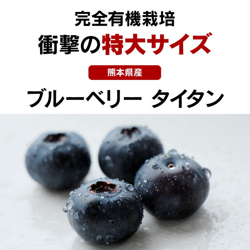 ブルーベリー タイタン
