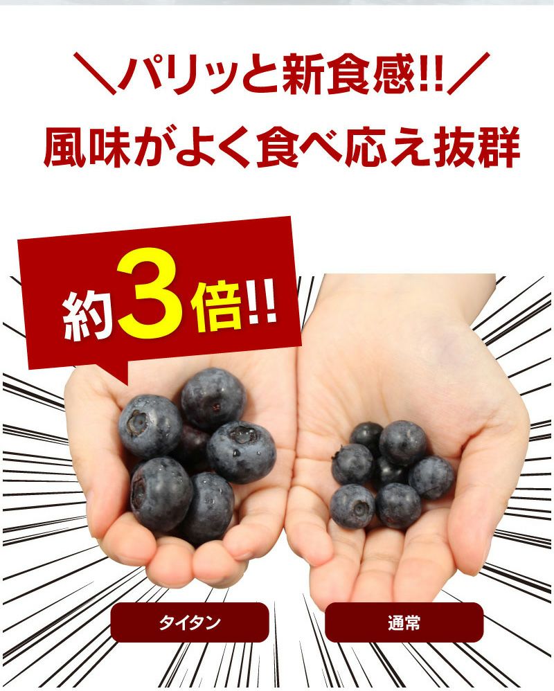 ブルーベリー タイタン