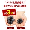 ブルーベリー タイタン