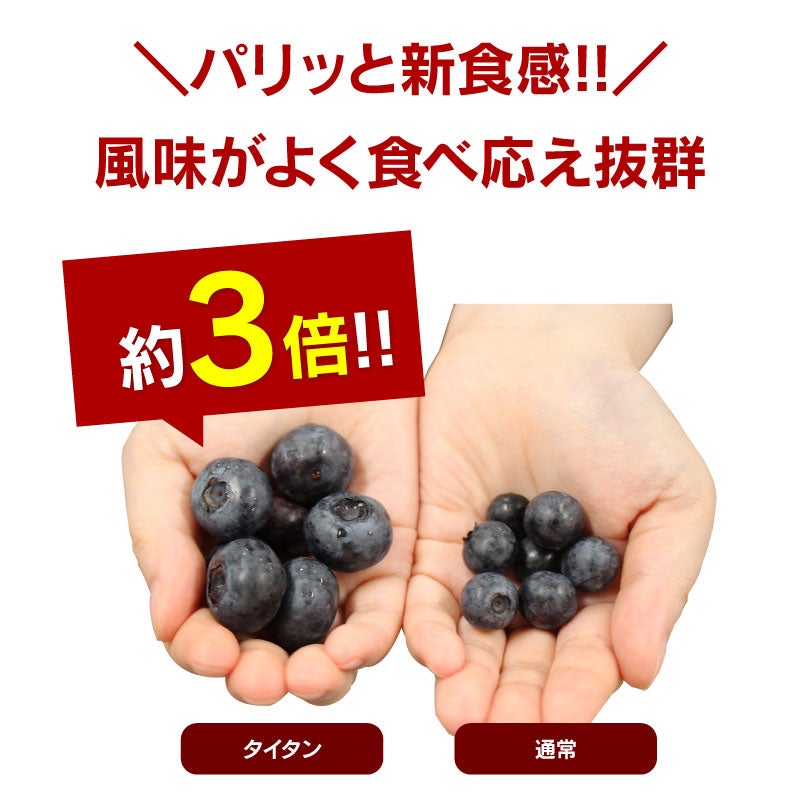 ブルーベリー タイタン