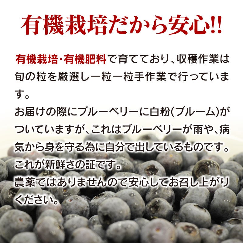 ブルーベリー タイタン