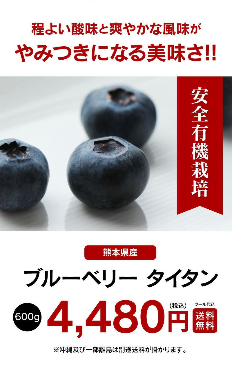 ブルーベリー タイタン