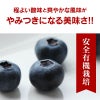 ブルーベリー タイタン