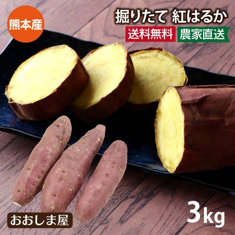 2022年新物 紅はるか 熊本県産 3kg（7本から15本前後） ＜8月下旬より