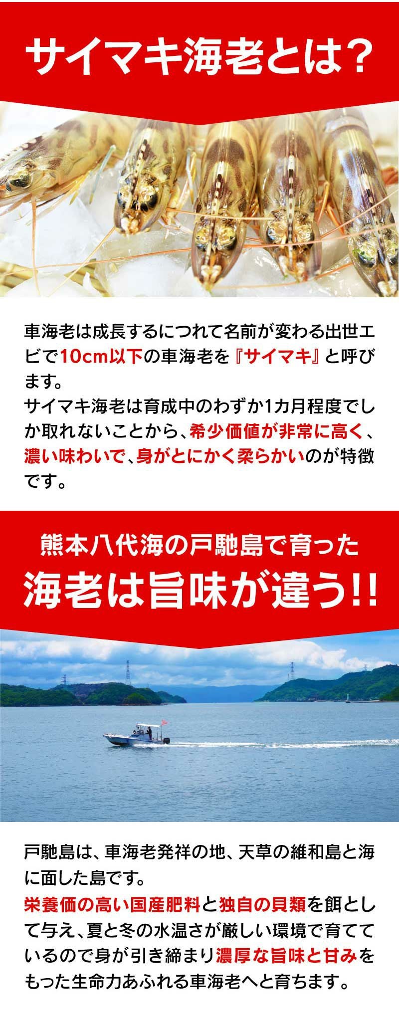 サイマキ海老の味噌漬け