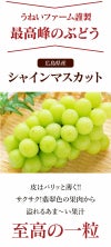 シャインマスカット
