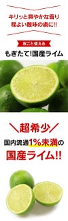 国産ライム