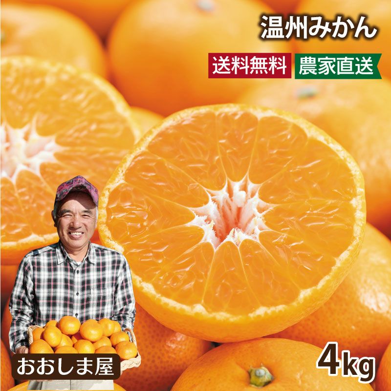 広島県産 大津みかん 10kg 農家直送 大津みかん(四号)』10㎏ Lサイズ（1㎏あたり8-9個）大津四号発祥の地