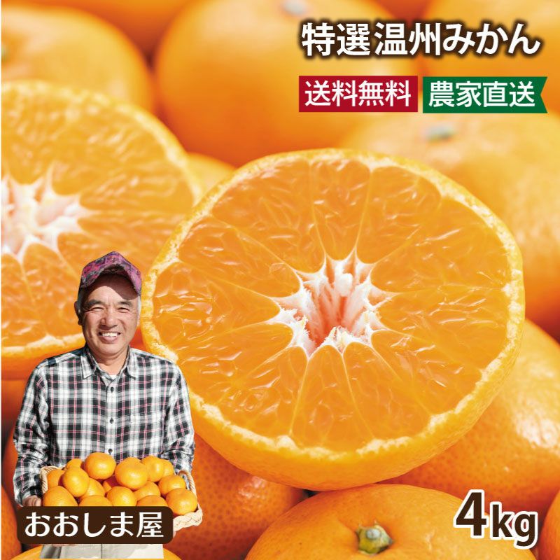 特選 完熟温州みかん 4kg 送料無料 ＜11月上旬から順次出荷開始＞ 玉