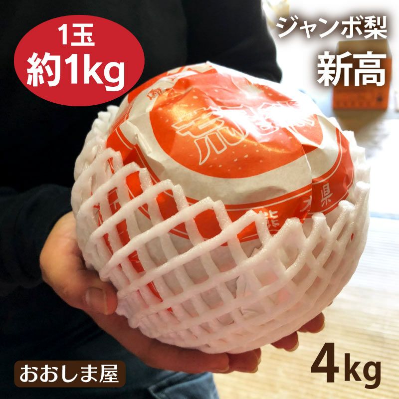 完熟 ジャンボ梨 新高 4kg(1玉約1kg 4玉) ＜送料無料・農家直送＞ 10月