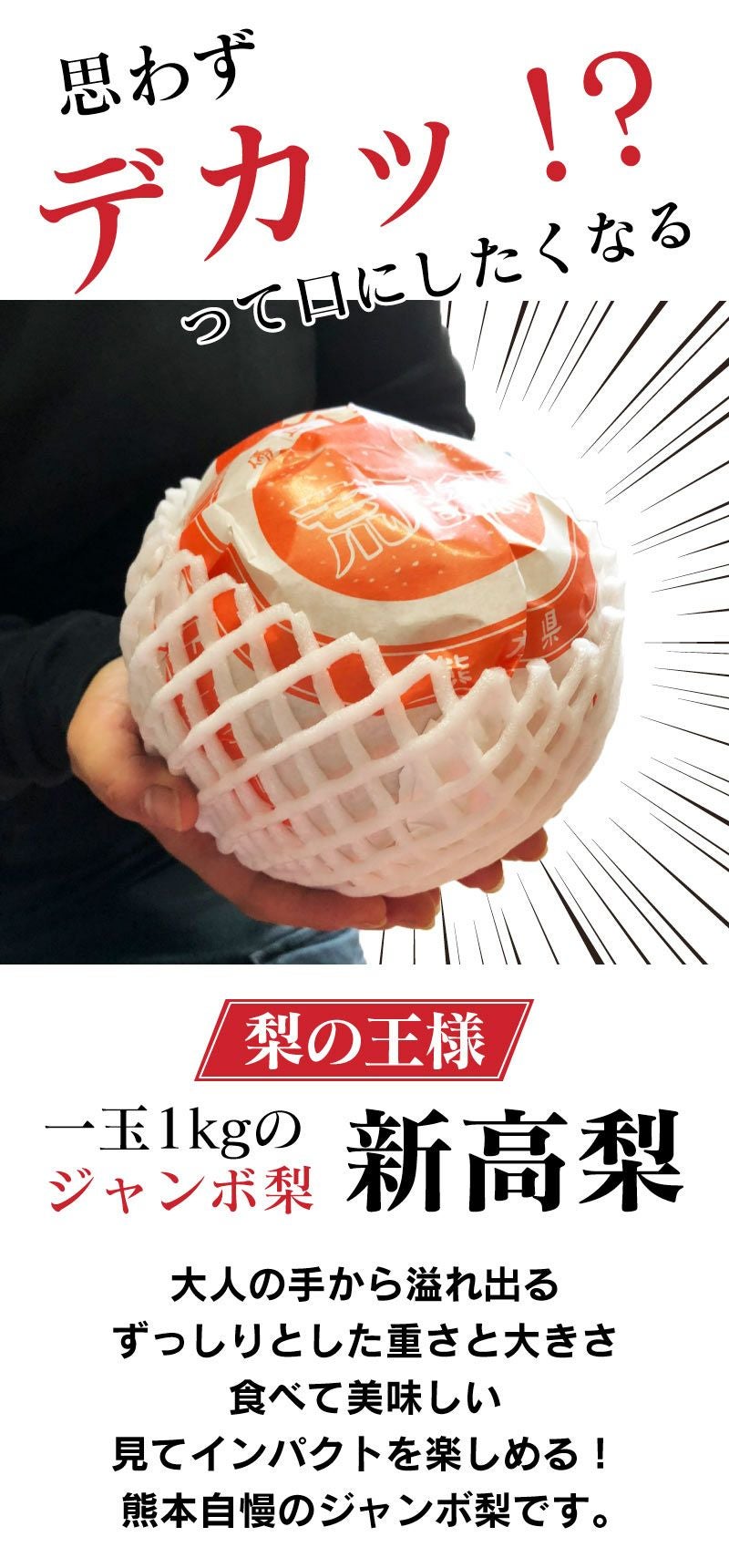 000000000697-02.jpg?size=xs&w=