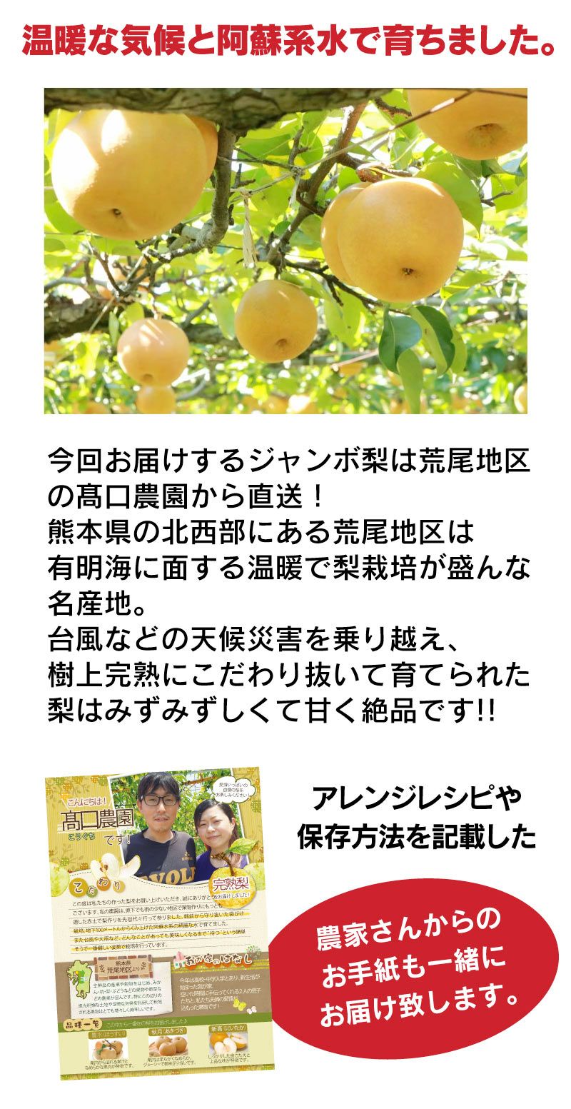 完熟 ジャンボ梨 新高 4kg(1玉約1kg 4玉) ＜送料無料・農家直送＞ 10月