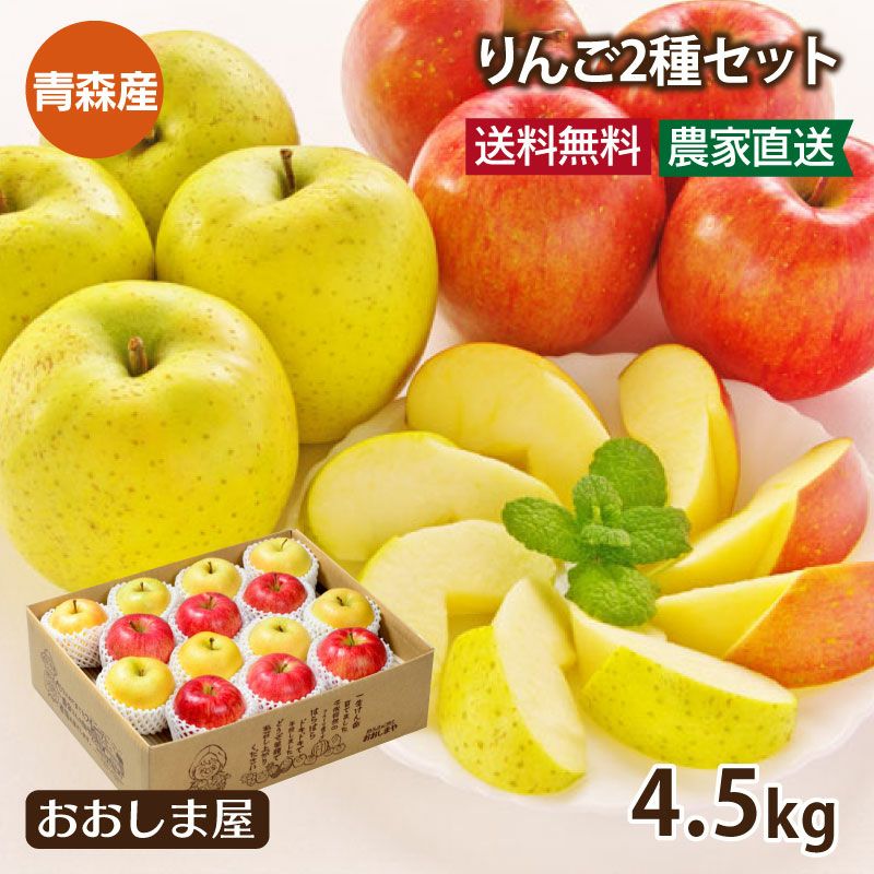 青森 りんご 2種 トキメキりんごセット 送料無料 ＜10月中旬より順次