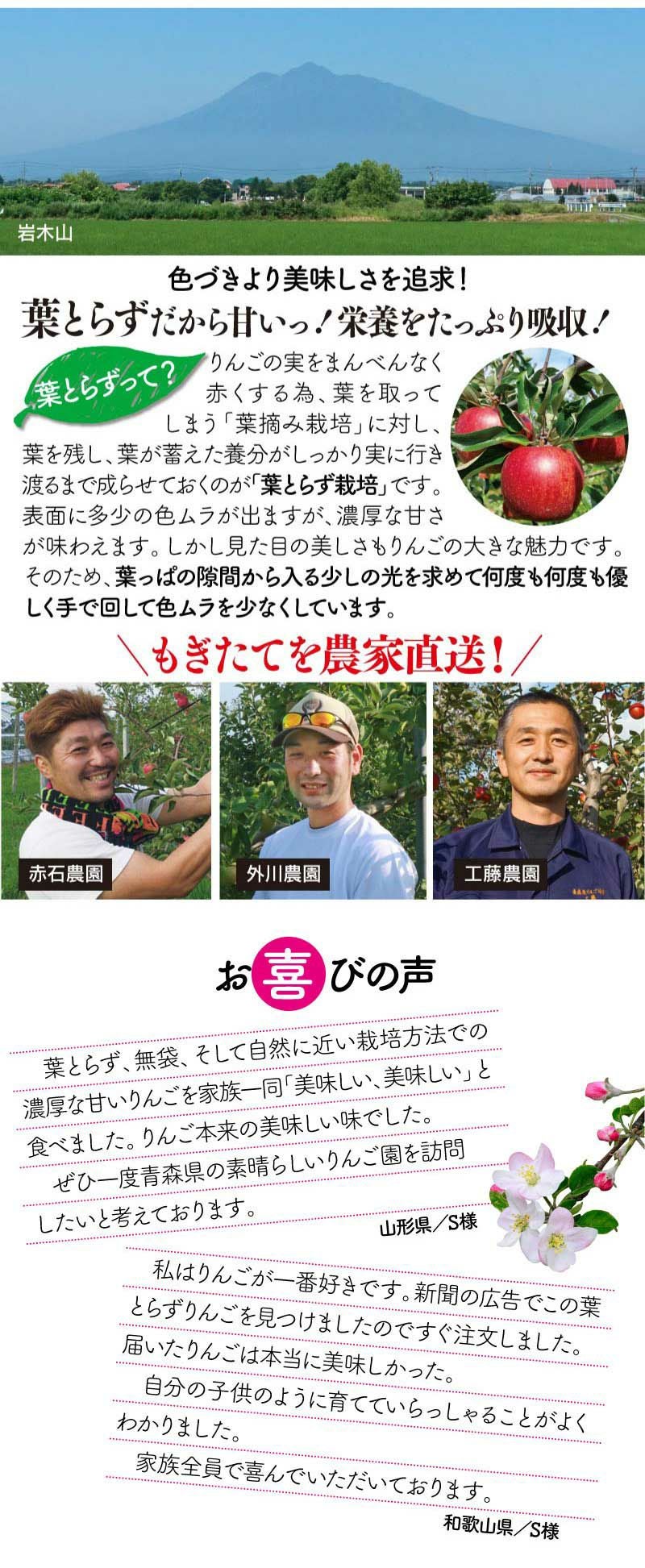 青森 りんご 2種 セット