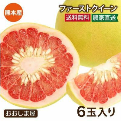 熊本産 早生文旦 ファーストクイーン 6玉入り（約8kg） 送料無料 ＜11