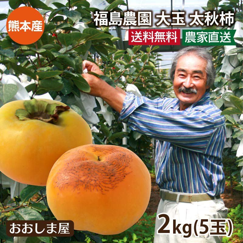 大玉 太秋柿 2kg （5玉入り） ギフト 送料無料 福島農園 農家直送 熊本