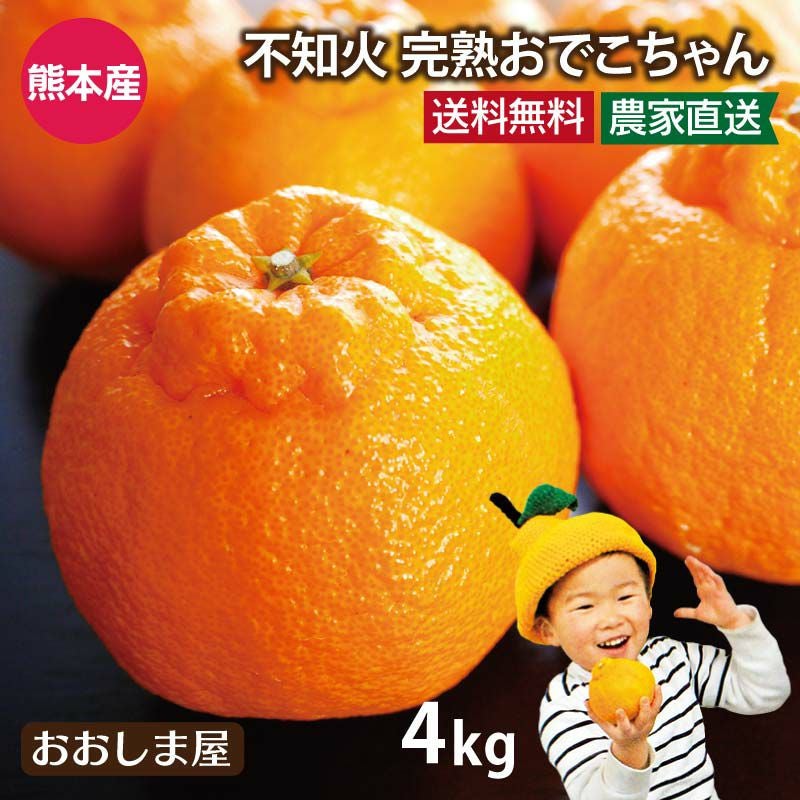 不知火完熟おでこちゃん4kg 送料無料 農家直送でお届け｜おおしま屋