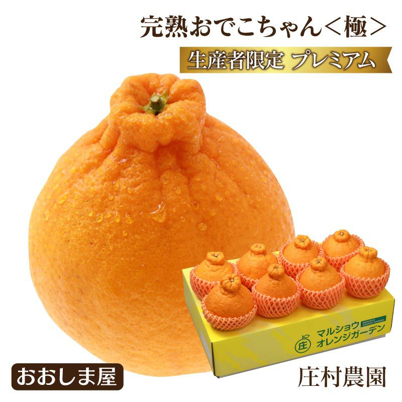 みかん 不知火 完熟 おでこちゃん ＜極み＞ 3kg（8～12玉）2月中旬より