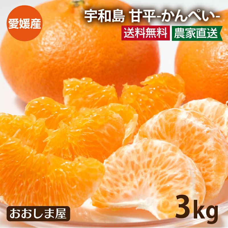 【送料無料】愛媛産　甘平　かんぺい　３L　約10ｋｇ（5ｋｇｘ2箱） 大豊作祝いの甘平（かんぺい）10kg【送料無料】不選別・訳あり 愛媛県