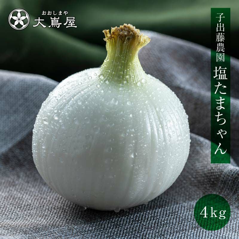 塩たまちゃん 2.5kg 送料別 熊本産 子出藤農園の塩たまねぎ 4月上旬