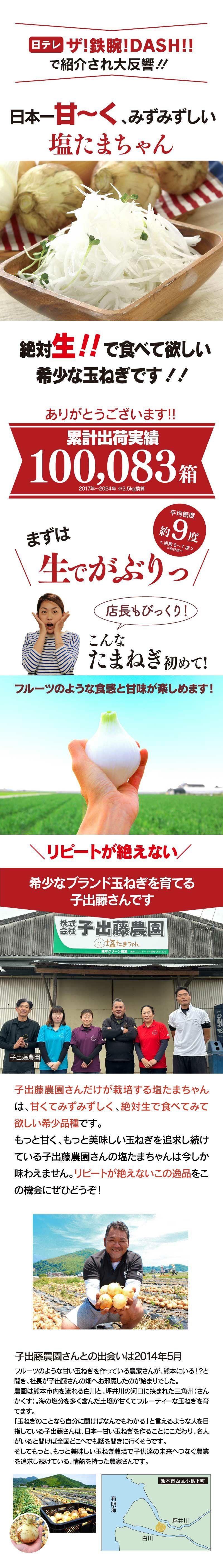 塩たまちゃん 8kg 送料無料 熊本産 子出藤農園の塩たまねぎ 4月下旬