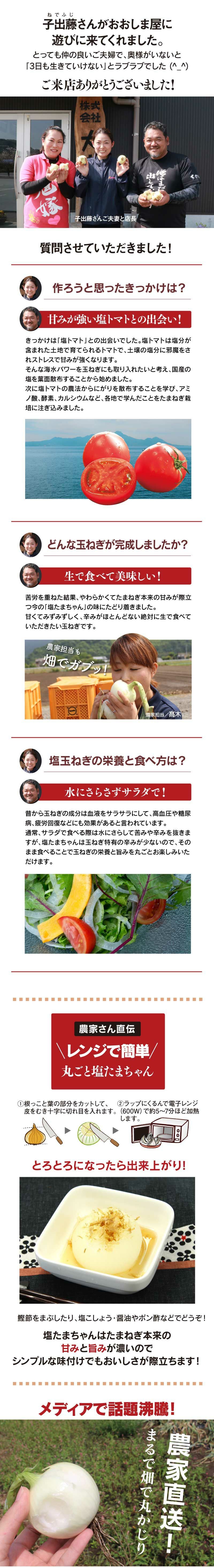 塩たまちゃん 8kg 送料無料 熊本産 子出藤農園の塩たまねぎ 4月下旬