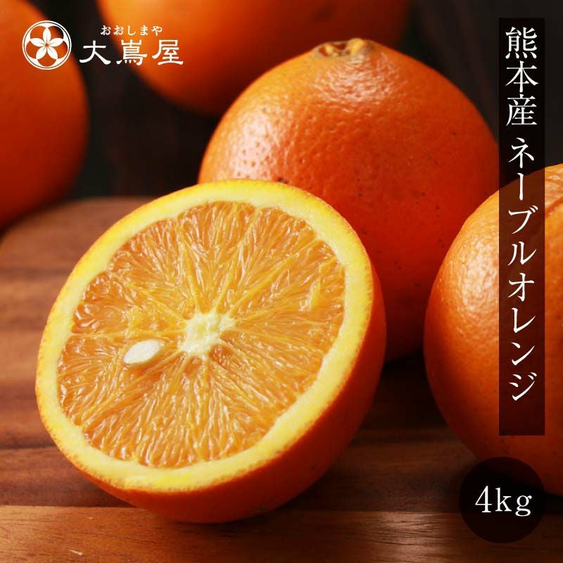 国産ネーブル 4kg 12-18玉前後 ＜3月上旬から順次出荷＞ ネーブル