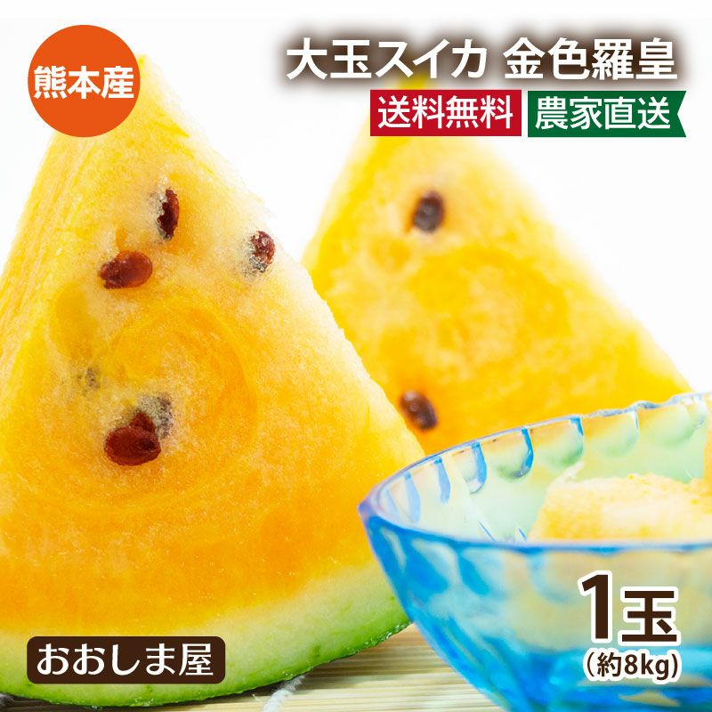 大玉スイカ 金色羅皇 1玉 約8kg 2L-3Lサイズ 送料無料 ＜5月中旬より