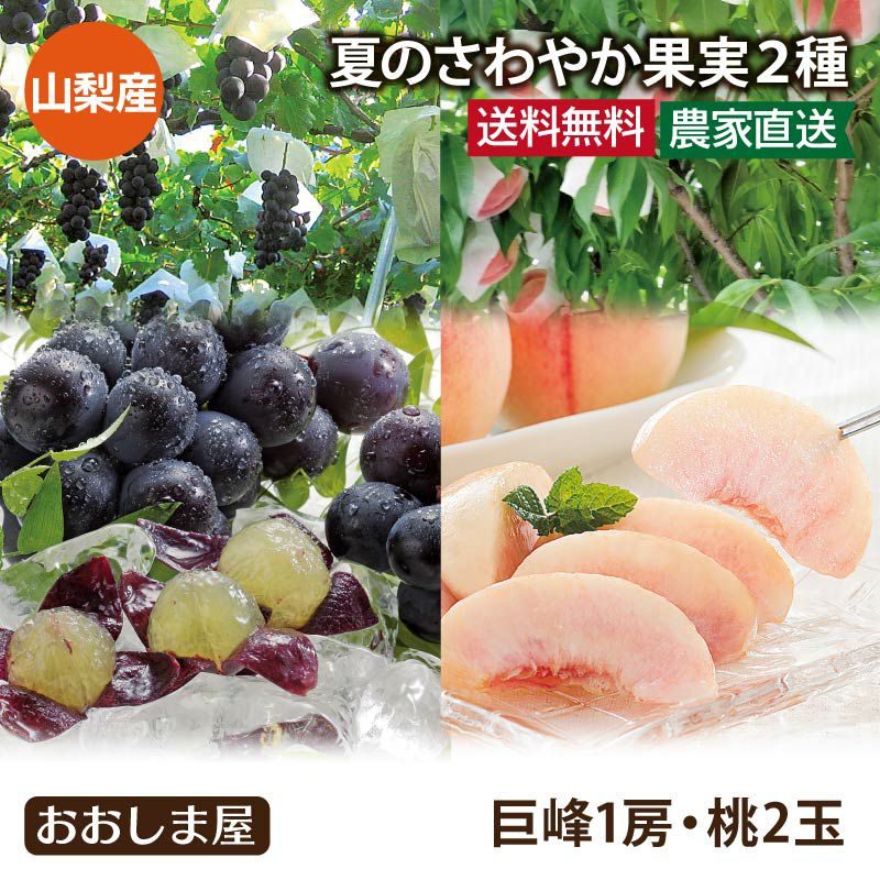 夏のさわやか果実2種 送料無料（クール代別途） 巨峰 1房 桃 2玉 ＜8月
