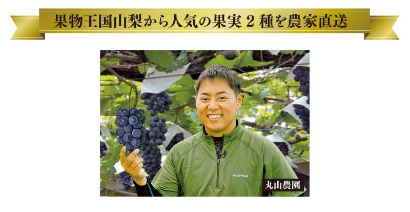 夏のさわやか果実2種