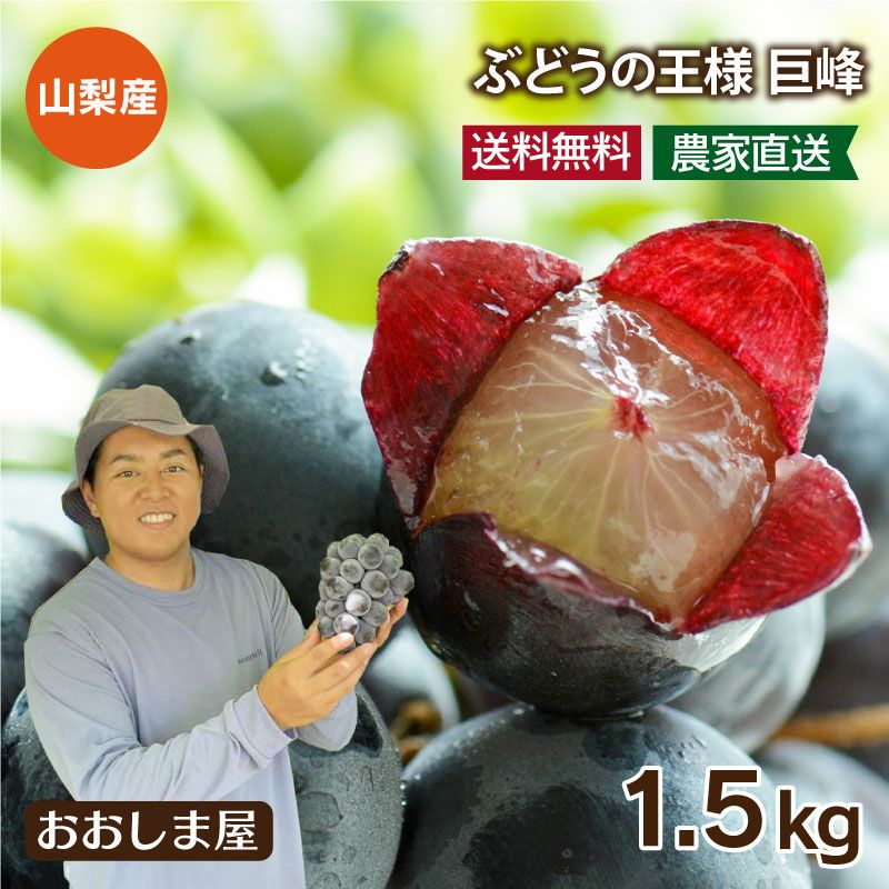 巨峰 1.5kg（3～5房） ぶどう 送料無料 山梨産 農家直送・冷蔵便