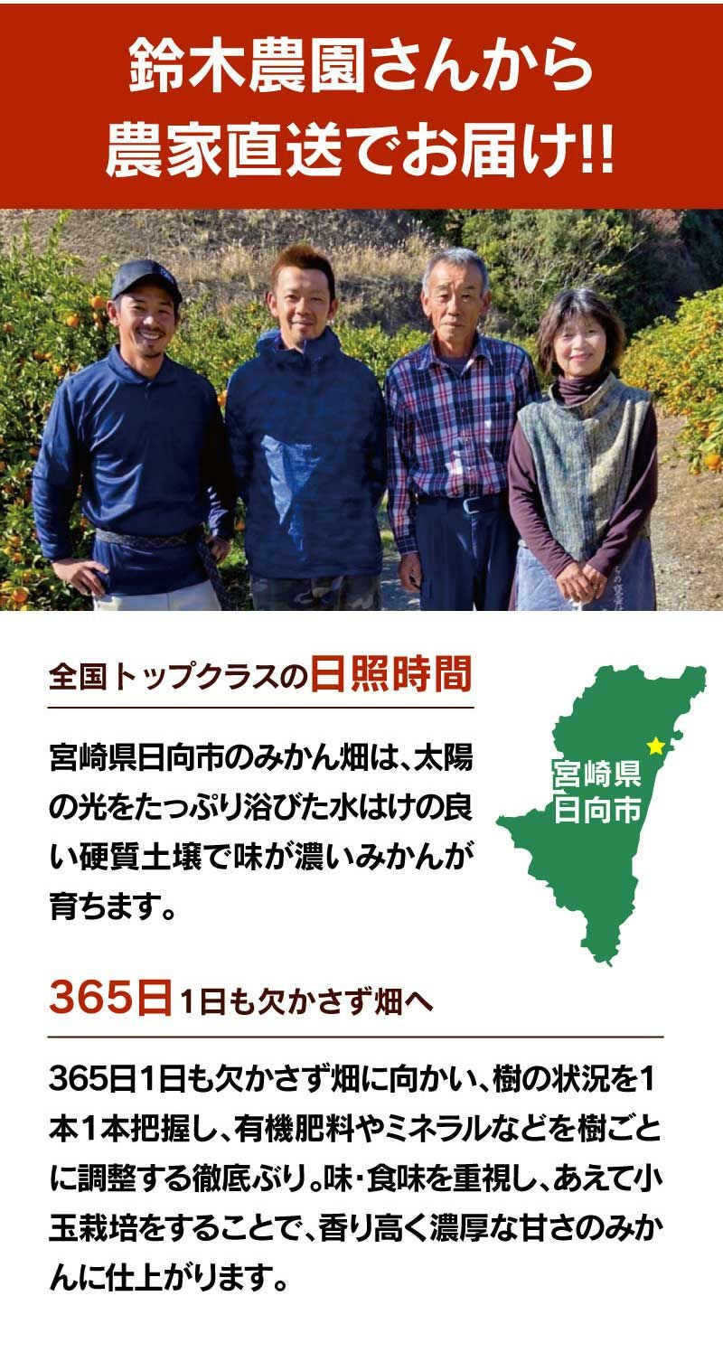 鈴木さんちのとろこくみかん