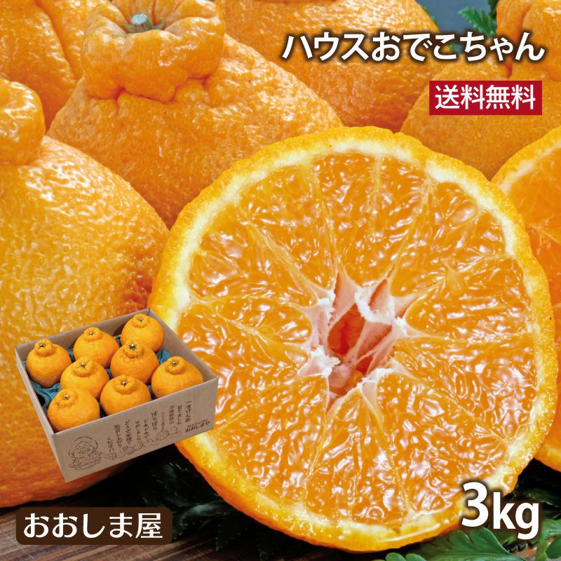 キャンペーン中／ハウスおでこちゃん 熊本産 3kg(8-10玉) ＜12月上旬