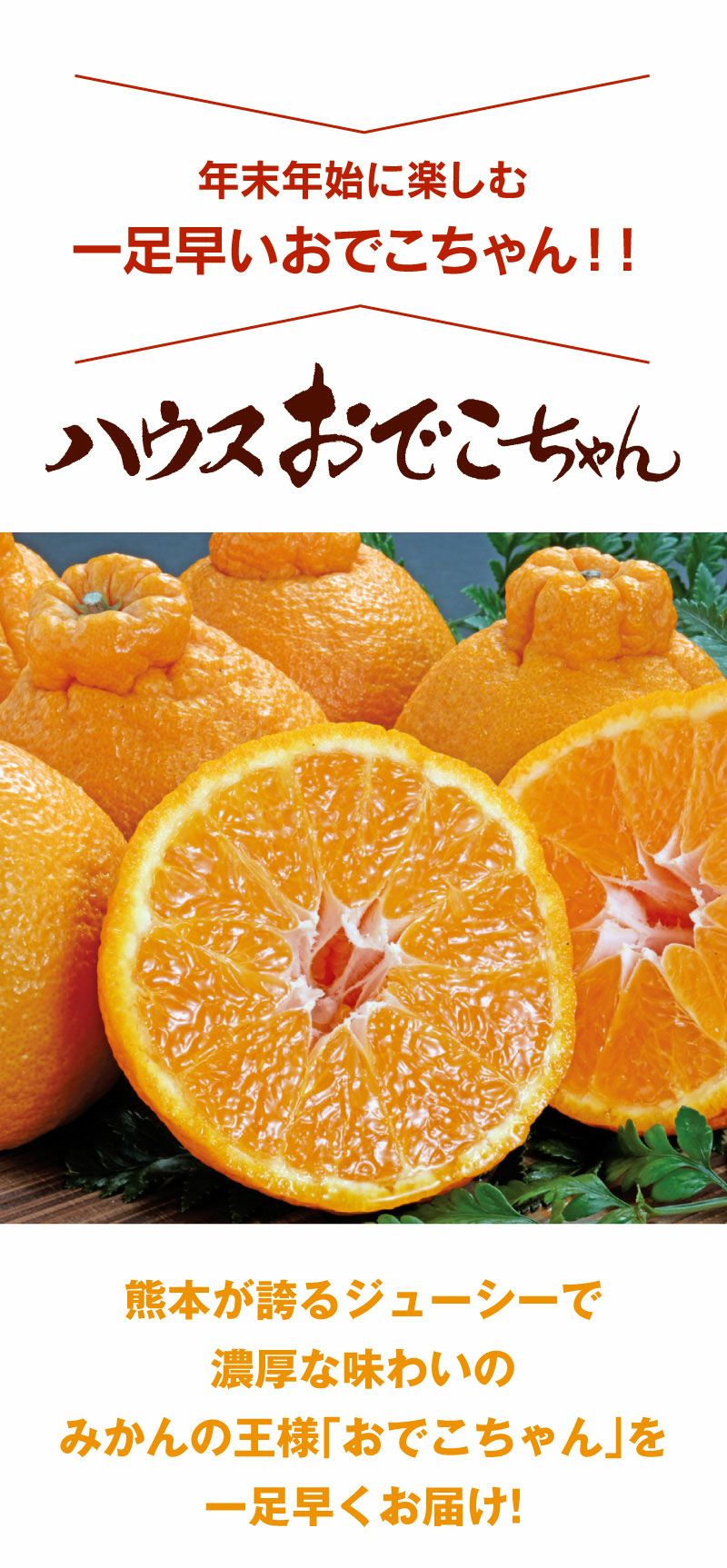 ハウスおでこちゃん