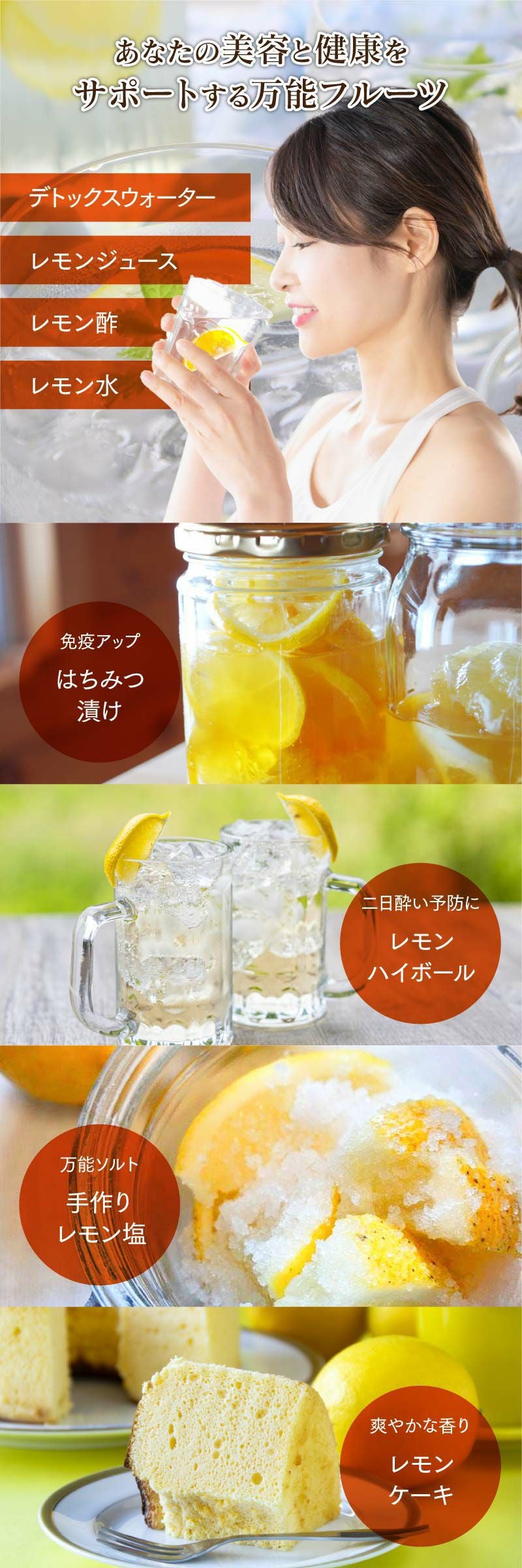 国産 熊本 訳あり レモン 5kg マイヤーレモン 送料無料 メイヤーレモン